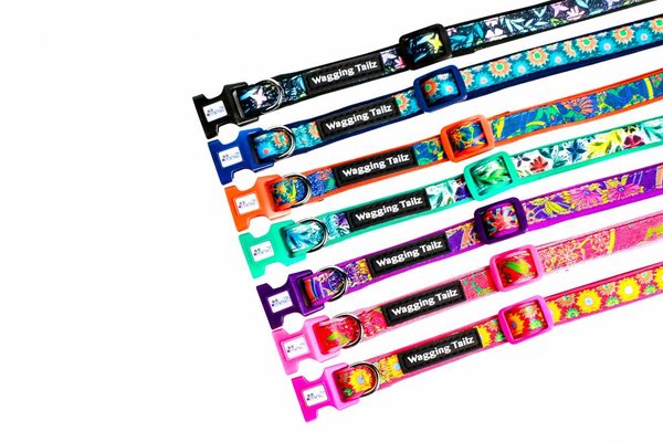 Wagging Tailz Wagging Tailz Miniz halsbandjes Flowercollectie Wagging Tailz Wagging Tailz Miniz halsbandjes Flowercollectie