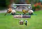 Birdfeeder plus Birdfeeder plus