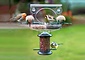 Birdfeeder totaal Birdfeeder totaal