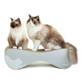 MyKotty Vigo MyKotty Vigo