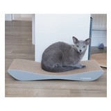 MyKotty Tobi MyKotty Tobi