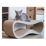 MyKotty Lui MyKotty Lui