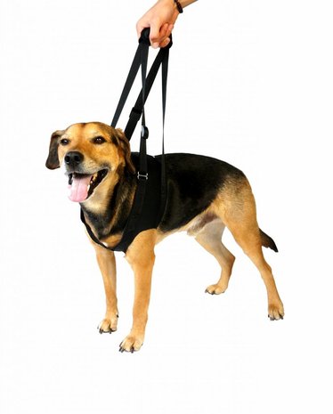 Vetlando Vetlando loop -en draaghulp voor honden Vetlando Vetlando loop -en draaghulp voor honden