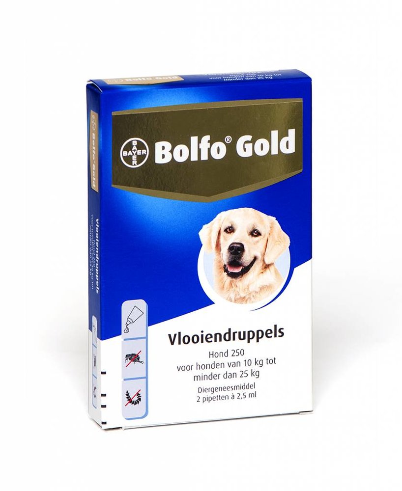 Bolfo Bolfo Gold hond 250 (2 pipet) Bolfo Bolfo Gold hond 250 (2 pipet)