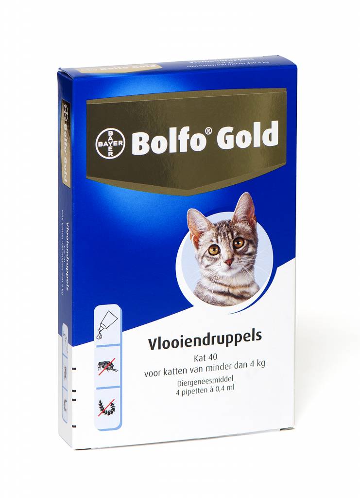 Bolfo Bolfo Gold kat 40 (4 pipet) - dierportiek