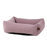 Fantail Snug Fantail Snug
