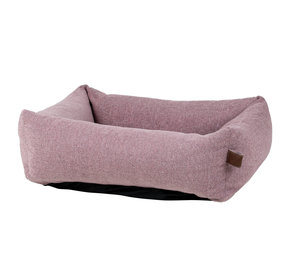 Fantail Snug Fantail Snug