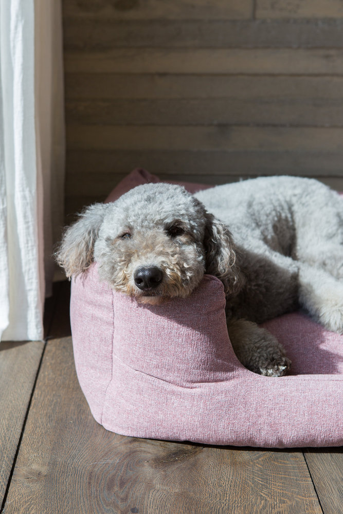 Fantail Fantail Snooze hondenmand