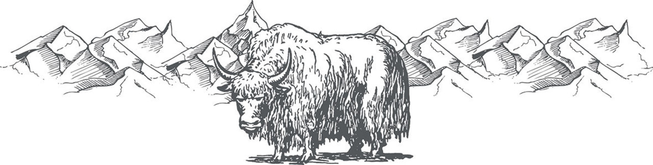 Yakka's , gedroogde harde kaaskluiven, origineel uit de Himalaya! Yakka's , gedroogde harde kaaskluiven, origineel uit de Himalaya!