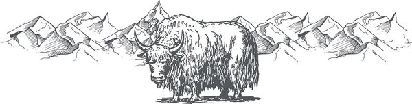 Yakka's , gedroogde harde kaaskluiven, origineel uit de Himalaya! Yakka's , gedroogde harde kaaskluiven, origineel uit de Himalaya!