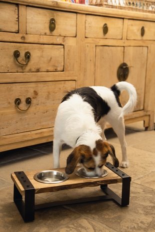 Designed by Lotte Designed By Lotte Hondenvoerbakkenset