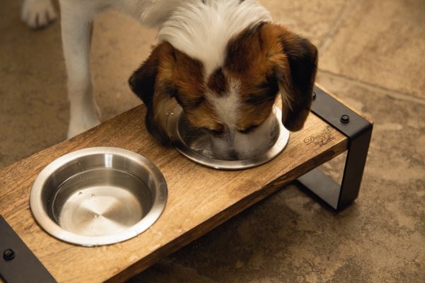 Designed by Lotte Designed By Lotte Hondenvoerbakkenset