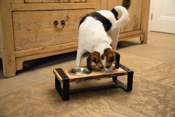 Designed by Lotte Designed By Lotte Hondenvoerbakkenset