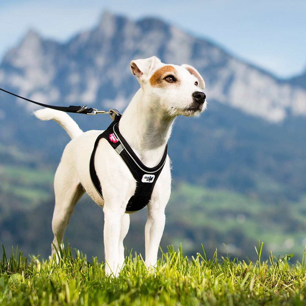 Curli Curli Magnetic Vest Harness