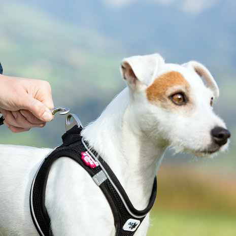 Curli Curli Magnetic Vest Harness