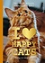 I love happy cats I love happy cats