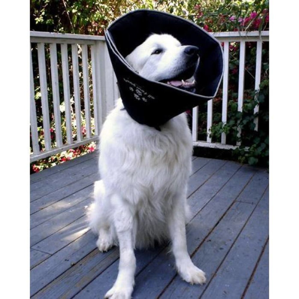 ComfyCone ComfyCone Hondenkap