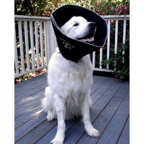 ComfyCone ComfyCone Hondenkap