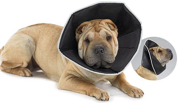 ComfyCone ComfyCone Hondenkap