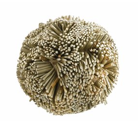 Ferplast Raffia speelbal voor hamsters Ferplast Raffia speelbal voor hamsters