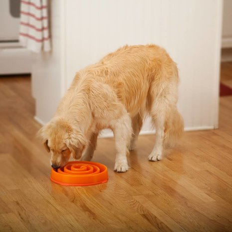 Dog Games SloBowl anti schrokbak Dog Games SloBowl anti schrokbak