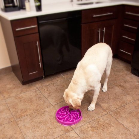 Dog Games SloBowl anti schrokbak Dog Games SloBowl anti schrokbak