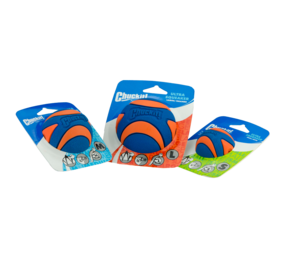 Chuckit Ultra Squeaker Ball Chuckit Ultra Squeaker Ball
