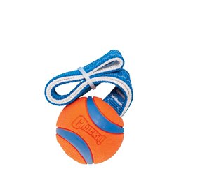 Chuckit Ultra Tug Chuckit Ultra Tug