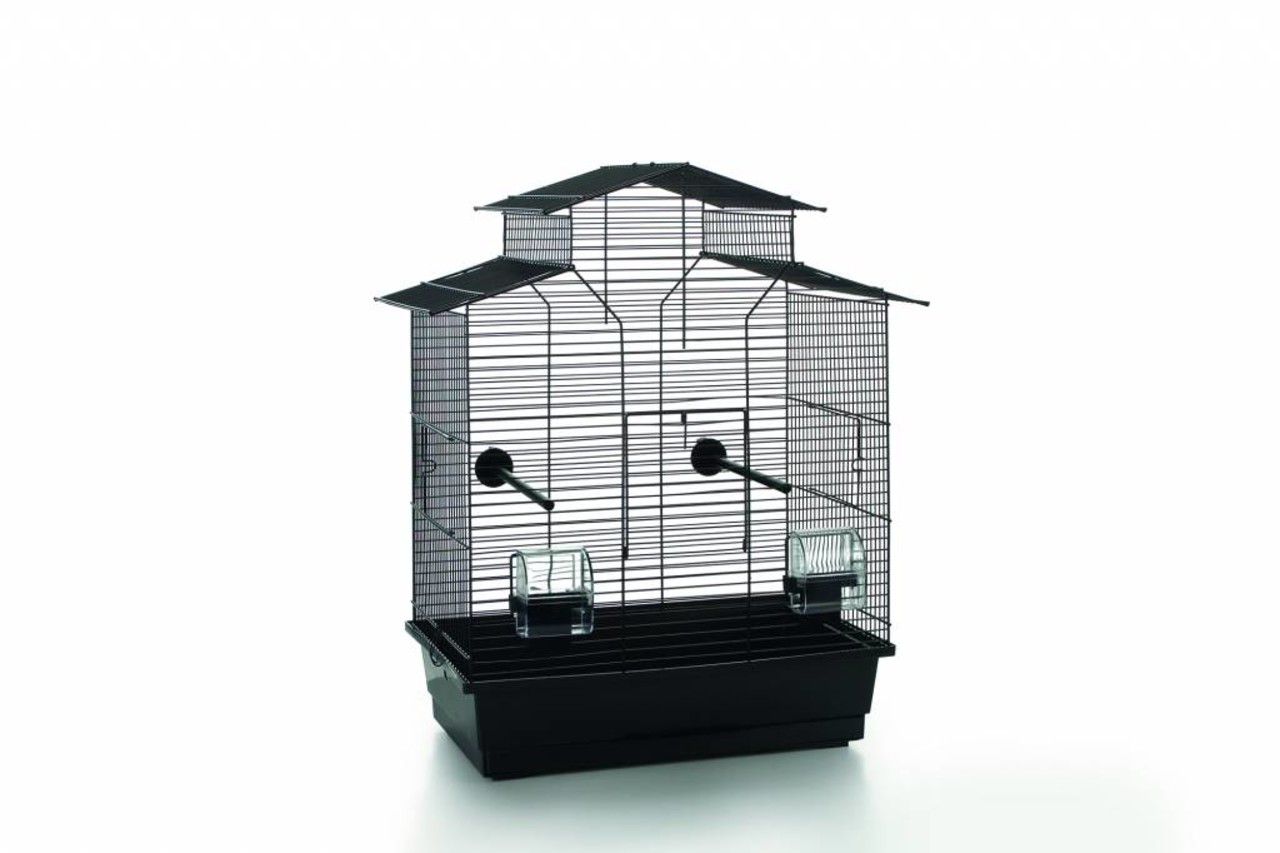 Iza 2 Pagode Iza 2 Pagode