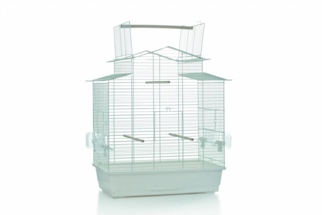 Big Iza 3 Open Big Iza 3 Open