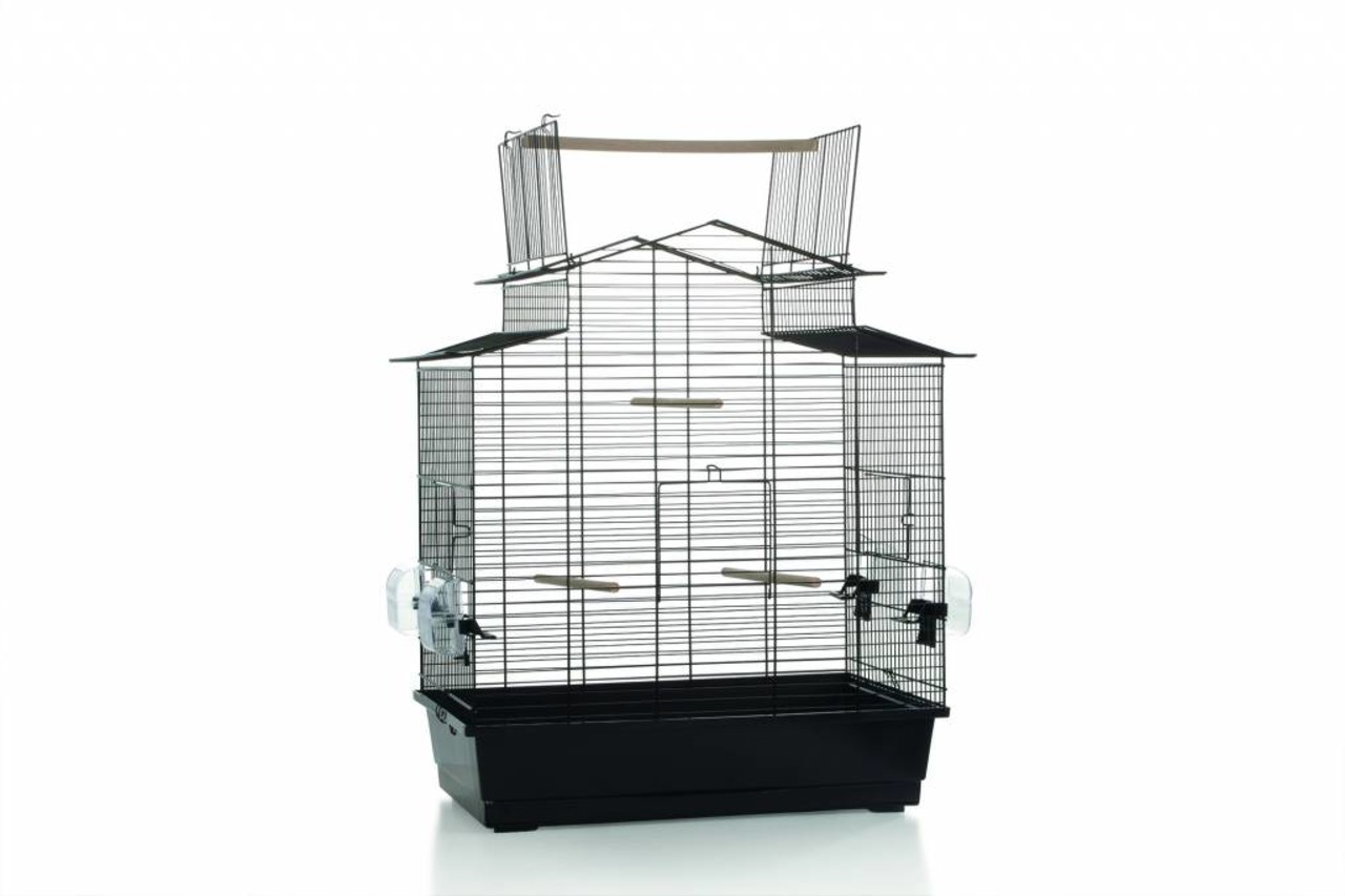 Big Iza 3 Open Big Iza 3 Open