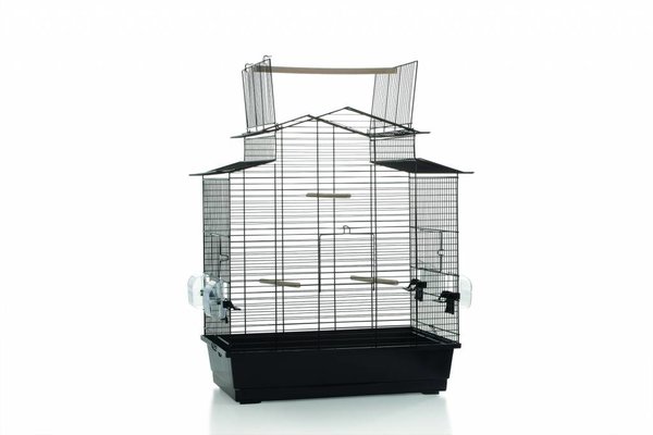 Big Iza 3 Open Big Iza 3 Open