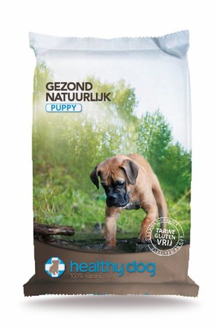 Healthy Dog Healthy Dog Puppy Healthy Dog Healthy Dog Puppy
