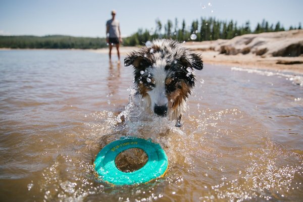RUFFWEAR Ruffwear Floating Disc RUFFWEAR Ruffwear Floating Disc