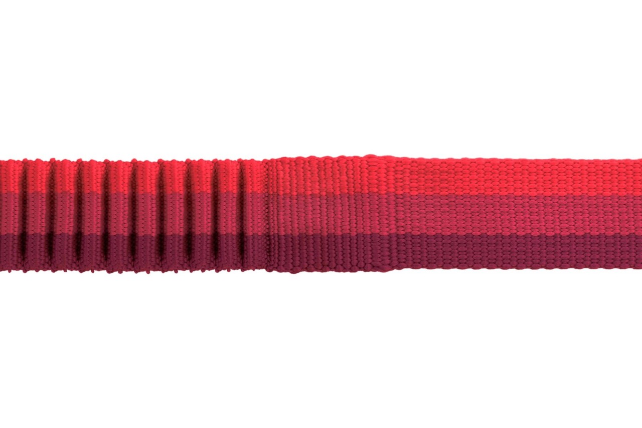 RUFFWEAR Ruffwear Roamer Leash RUFFWEAR Ruffwear Roamer Leash