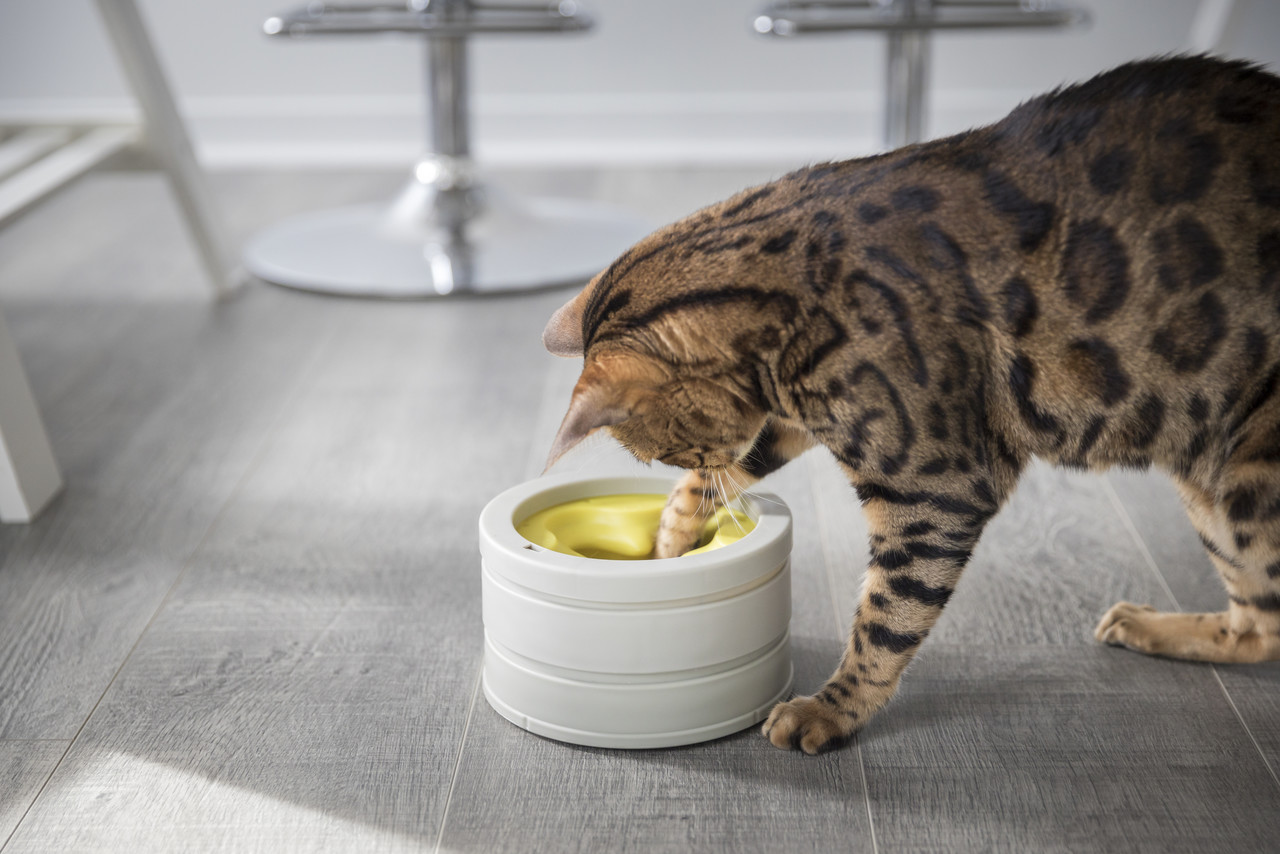 BeoneBreed BoneBreed Intellikat interactieve voerbak BeoneBreed BoneBreed Intellikat interactieve voerbak