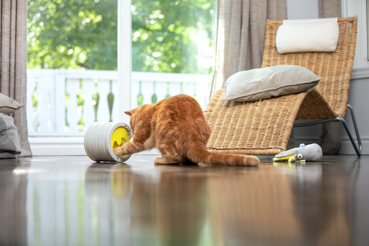 BeoneBreed BoneBreed Intellikat interactieve voerbak BeoneBreed BoneBreed Intellikat interactieve voerbak