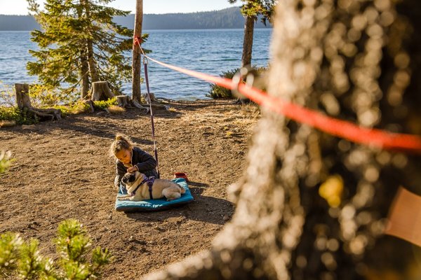 RUFFWEAR Ruffwear Knot a Hitch Dog Hitching System RUFFWEAR Ruffwear Knot a Hitch Dog Hitching System