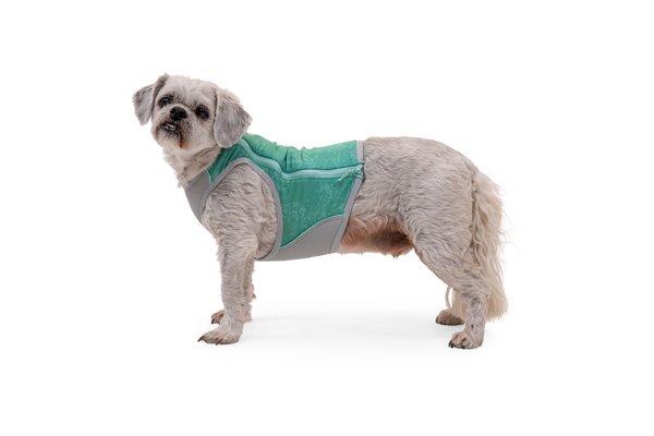 RUFFWEAR Ruffwear Swamp Cooler Zip Cooling Vest RUFFWEAR Ruffwear Swamp Cooler Zip Cooling Vest