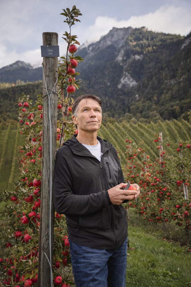 Curli Vegan appel-leder tuigen van Curli Curli Vegan appel-leder tuigen van Curli
