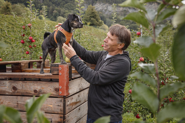 Curli Vegan appel-leder tuigen van Curli Curli Vegan appel-leder tuigen van Curli