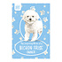 Bichon Frise Bichon Frise