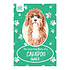 Cavapoo Cavapoo