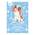 Cavalier King Charles Spaniel Cavalier King Charles Spaniel