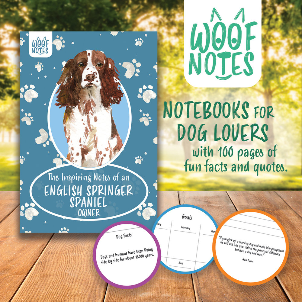 Woof Notes English Springer Spaniel Notitieboekje Woof Notes English Springer Spaniel Notitieboekje