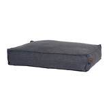 Fantail Stargaze "nieuwe kleuren" Fantail Stargaze "nieuwe kleuren"