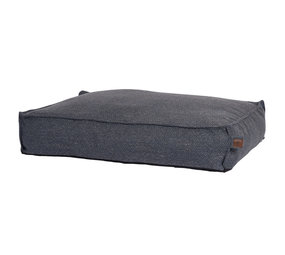 Fantail Stargaze "nieuwe kleuren" Fantail Stargaze "nieuwe kleuren"