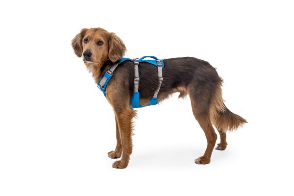 RUFFWEAR RUFFWEAR Flagline Harness