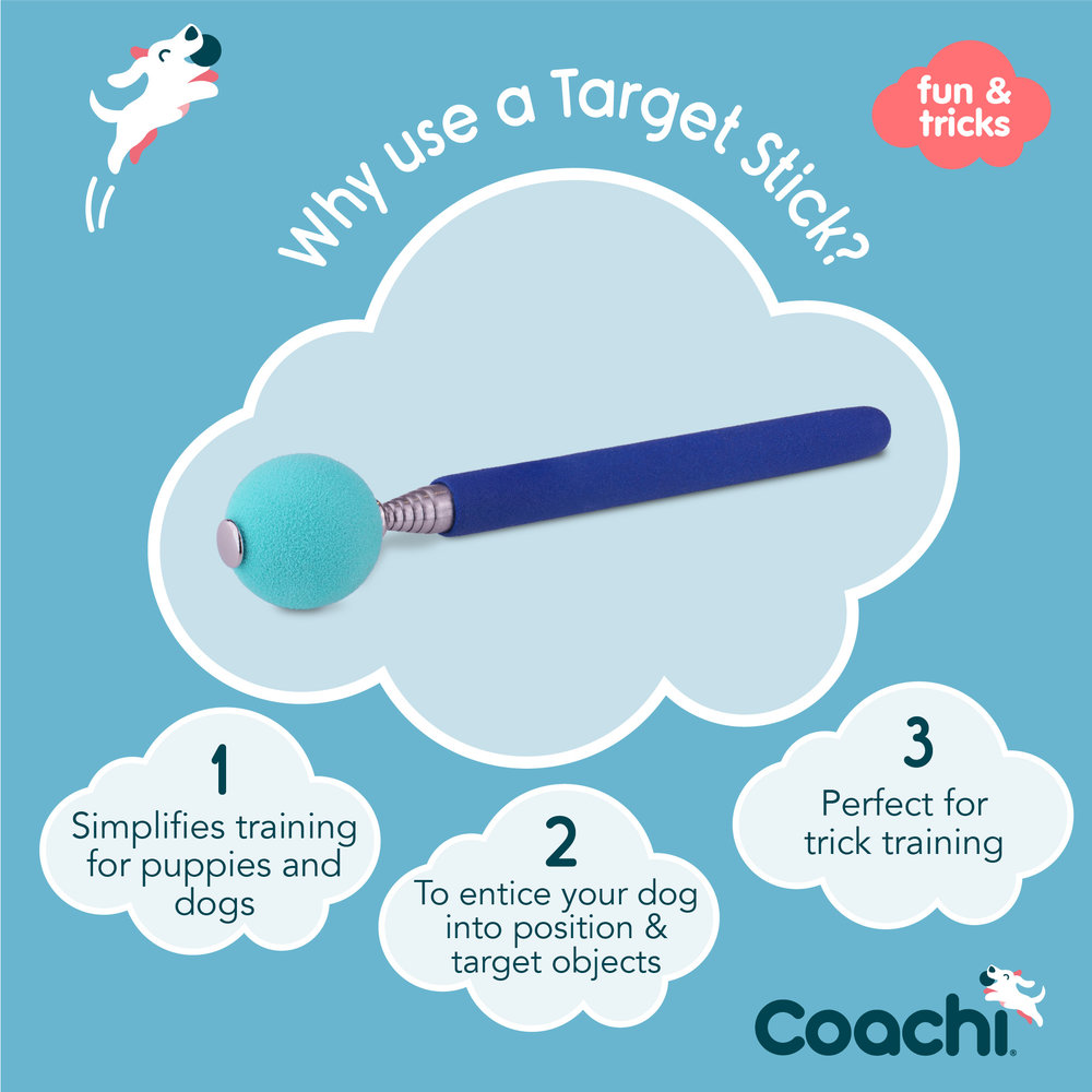 Company of Animals Company Of Animals Target Stick Company of Animals Company Of Animals Target Stick