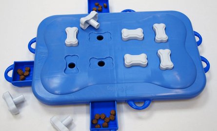Intelligentie spellen voor huisdieren